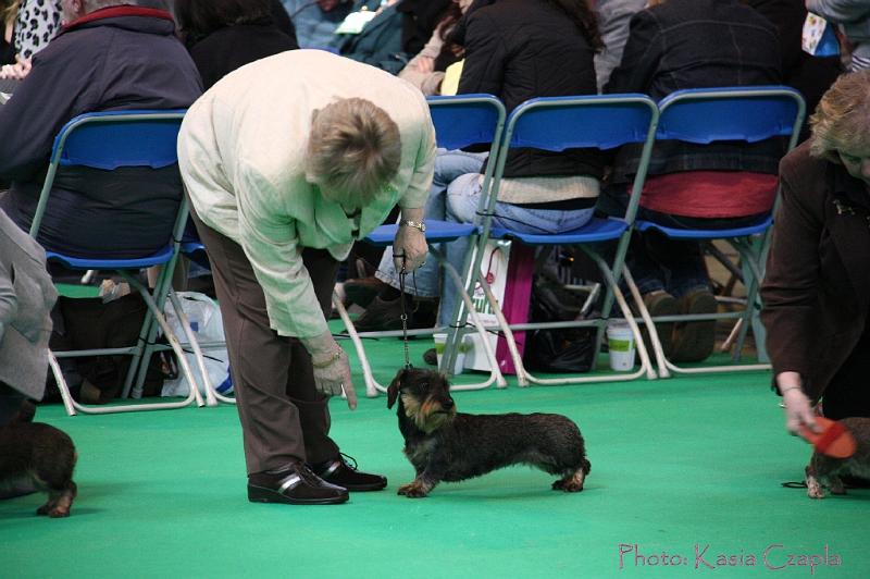 Crufts2011_2 1286.jpg